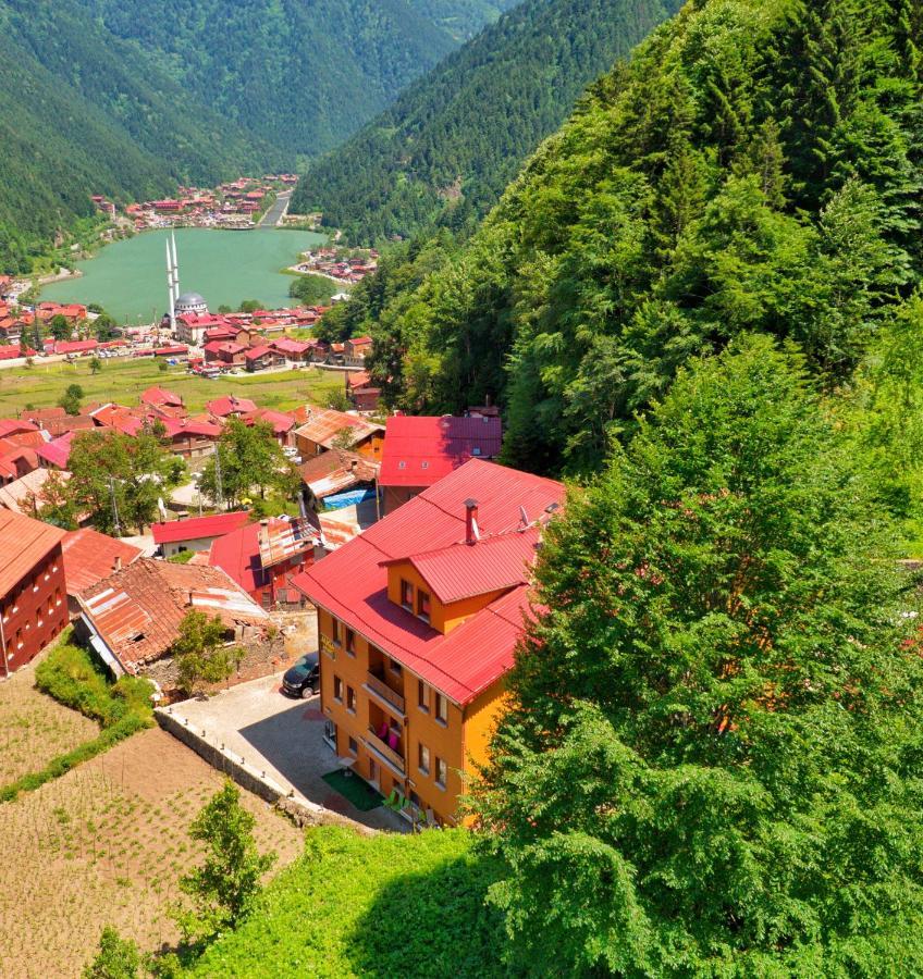 Auga Apart Aparthotel Uzungöl Exteriör bild