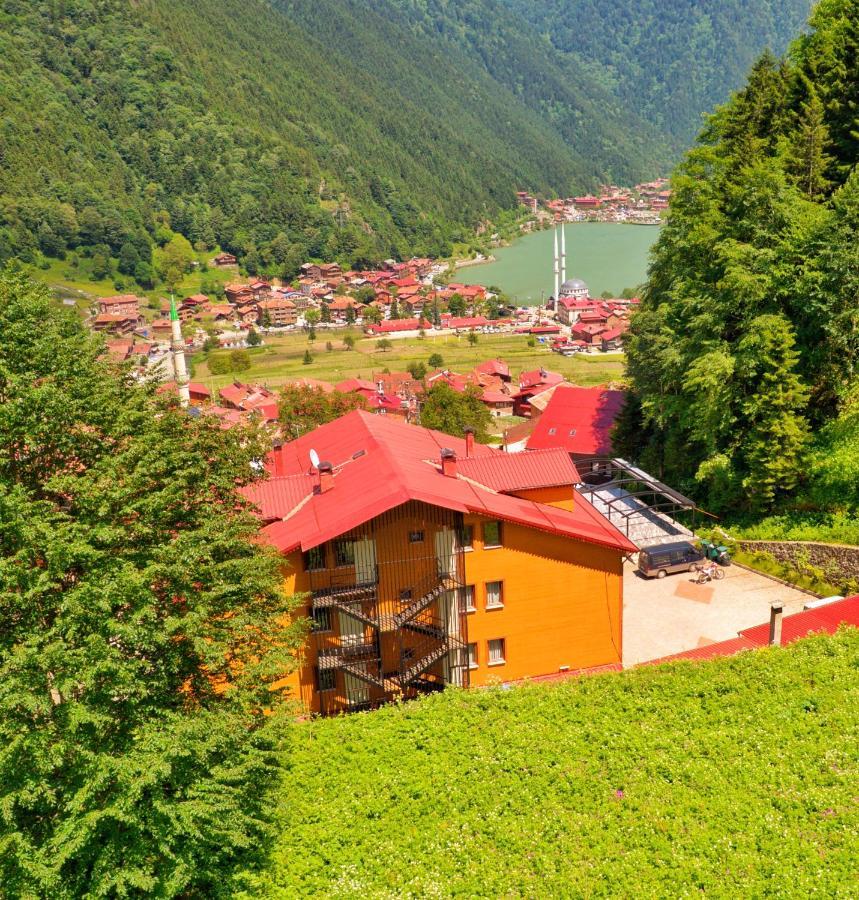 Auga Apart Aparthotel Uzungöl Exteriör bild